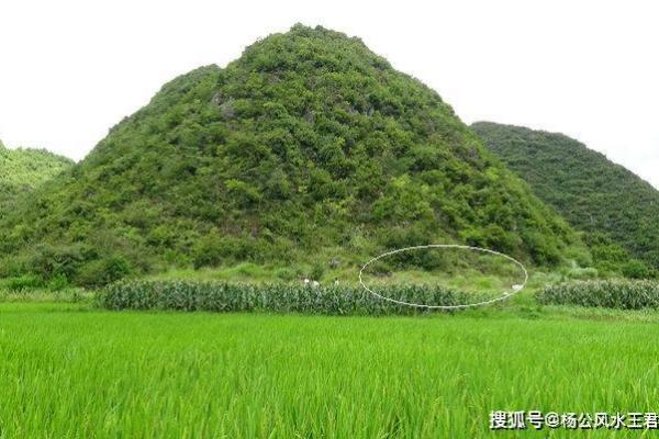 后辈出贵人祖坟风水：贵子之地