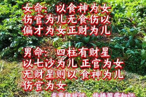 童子命算命能算出来吗？