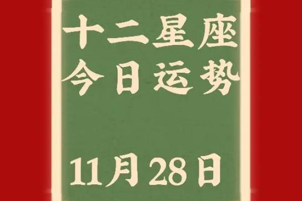 11月28日星座第一宫是什么