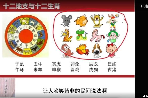 八字喜用神和调候用神相克