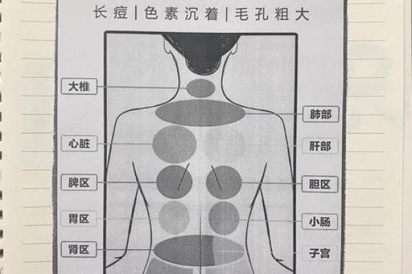 背部胎记算命图解