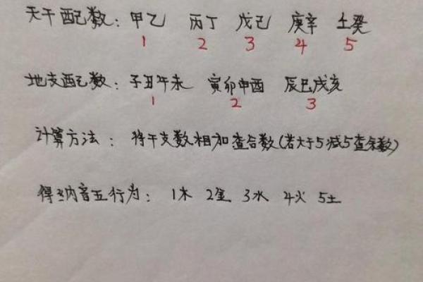 纳音与八字