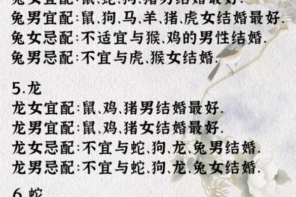属猪和处女座女配对如何