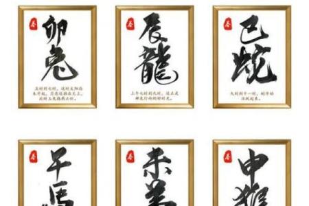 八字看配偶属相