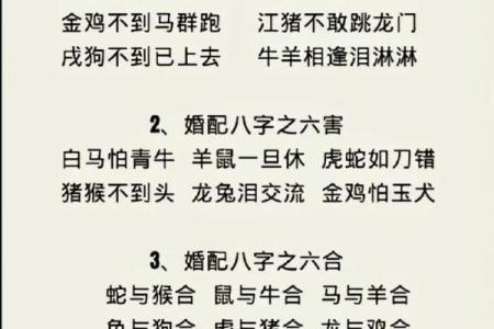 八字合婚 鼠和狗的属相适合做夫妻吗