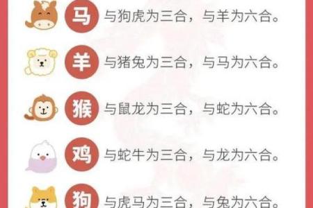 龙和老鼠属相合不合 龙和老鼠配对如何