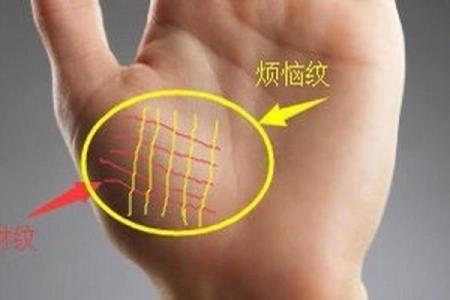 算命说根没长好