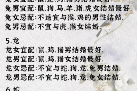 属猪和处女座女配对如何