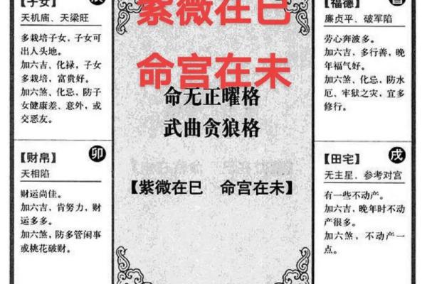 紫薇斗数紫薇梦