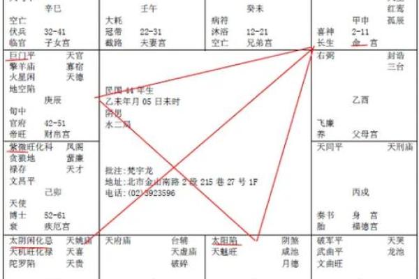 倪海厦紫薇斗数在线排盘