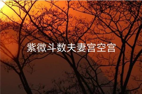 紫薇斗数夫妻宫代表