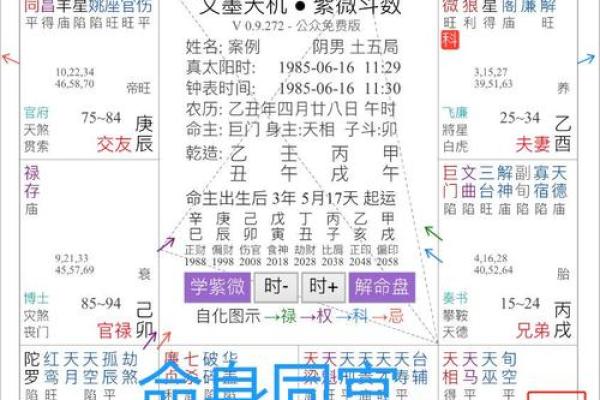 紫薇斗数紫薇入事业