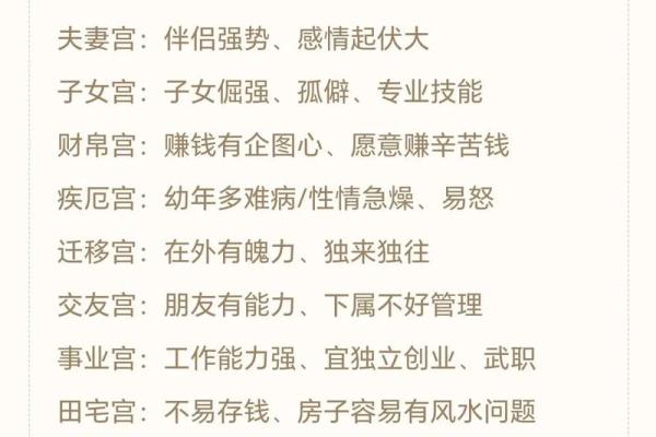 紫薇斗数紫薇入事业