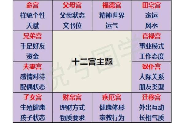 紫薇斗数男命看哪些宫