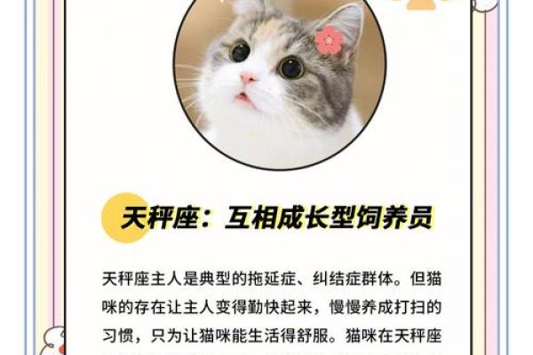 用星座给小猫起名子