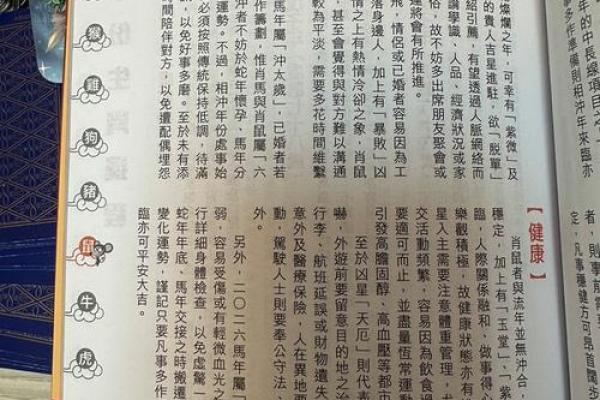 麦玲玲算八字,麦玲玲39元测运势准吗