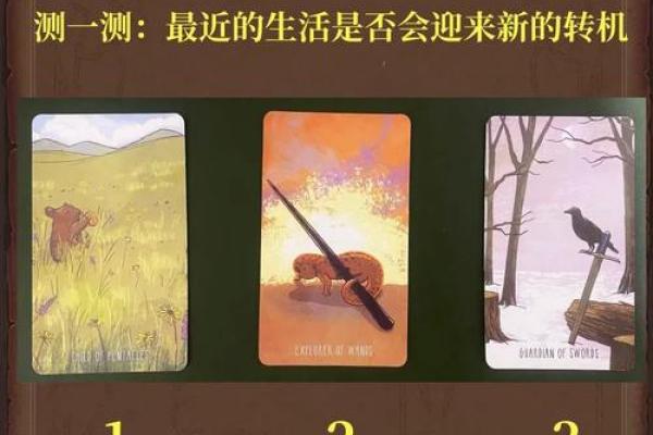 塔罗测试：最近你的人生转机在什么时候？