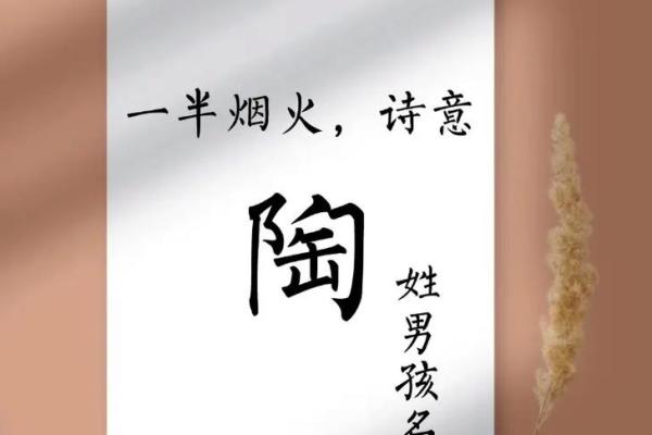 陶姓女孩名字大全-陶姓女孩起名字大全-陶姓名字大全姓名