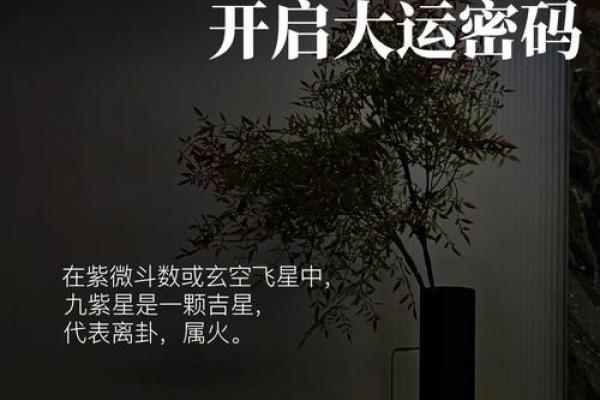 紫微斗数成大事的命格,官禄宫事业领导力强