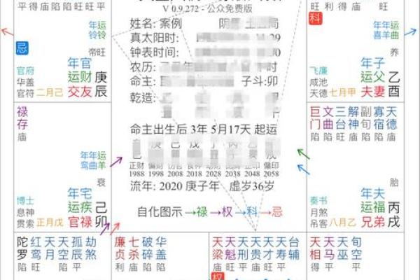 紫微斗数成大事的命格,官禄宫事业领导力强