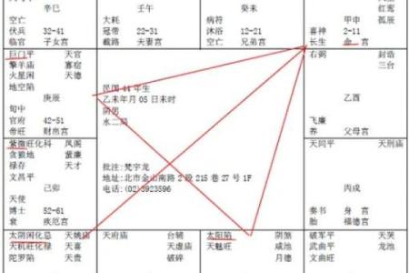 倪海厦紫薇斗数在线排盘
