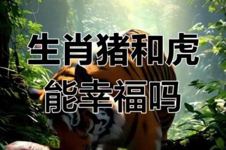 猪的生肖配对