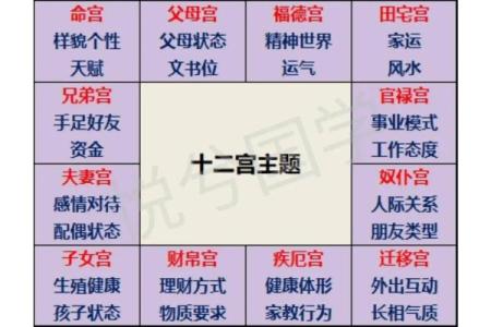 紫薇斗数男命看哪些宫
