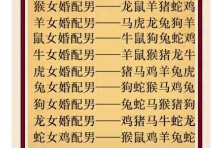 婚姻属相配对大全很准 婚姻属相配对大全很准十二生肖男女属相配对