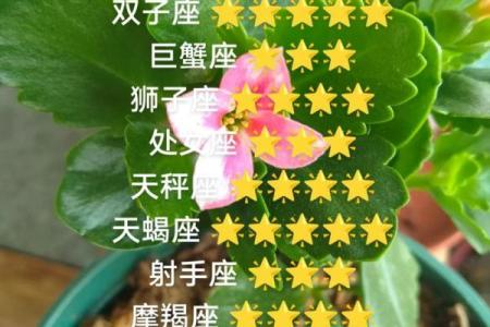 白羊座每月分析星座运势