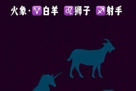 射手后面的星座是什么
