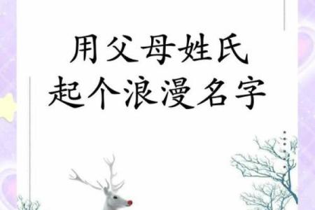 晚上8点出生的属鼠男孩的取名技巧姓名