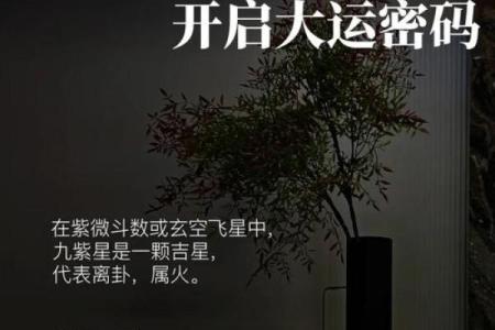 紫微斗数成大事的命格,官禄宫事业领导力强