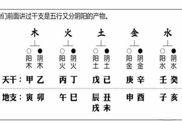 八字甲乙