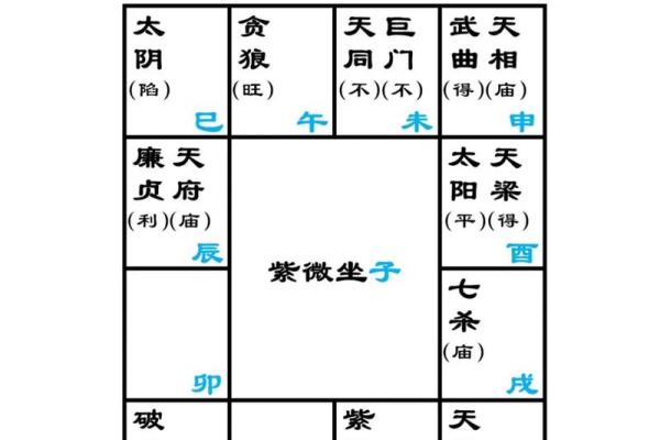 紫微斗数天府在疾厄宫