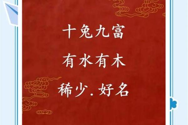8月份出生的属兔男孩要怎样取名姓名