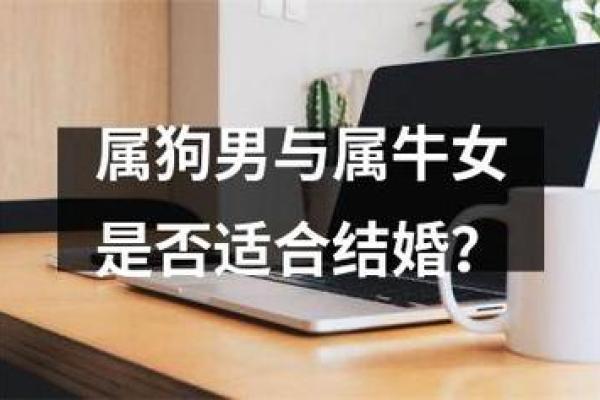 属狗的女人和什么属相最配对 属狗的女人和什么属相最配婚姻