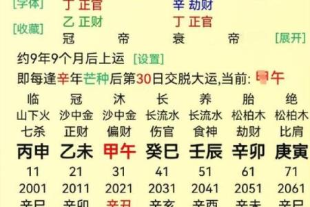 紫薇斗数壬寅年运
