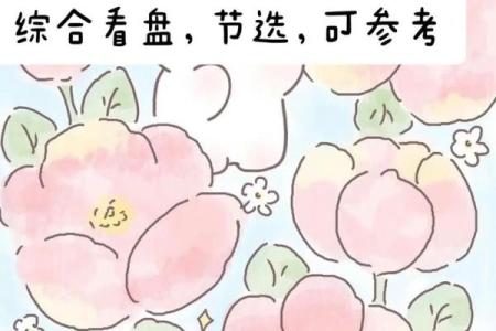 夫之子紫薇斗数