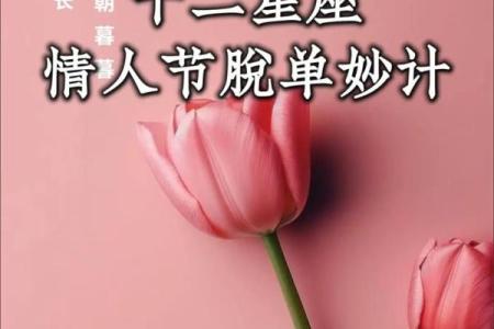 情人节，抓紧时间秀恩爱的星座