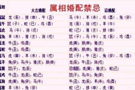1988年属龙的婚姻配对 1988年属龙的最佳配偶