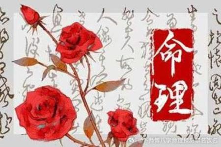 八字中劫