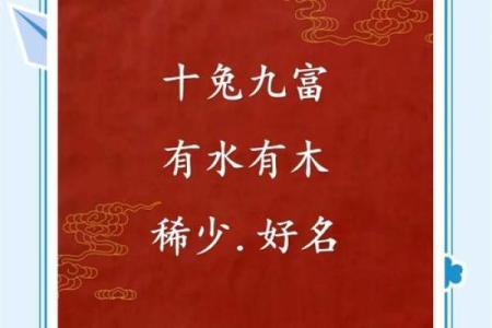 8月份出生的属兔男孩要怎样取名姓名
