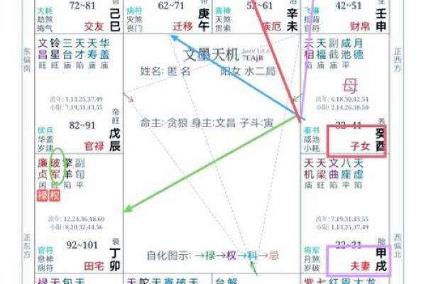 紫薇斗数多才多艺怎么看