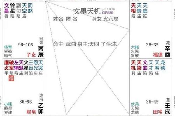 紫薇斗数多才多艺怎么看