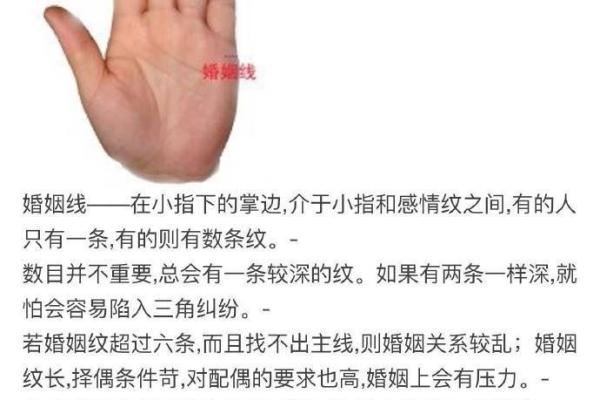 佛教看相算命吗