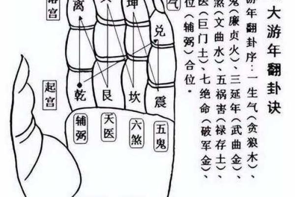 长寿的紫薇斗数