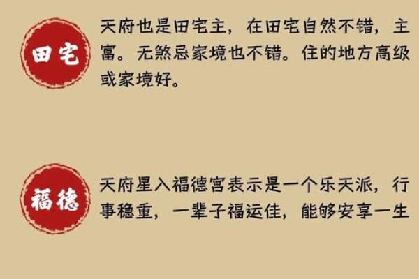 紫薇斗数算国运