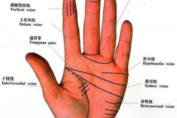 在线扫一扫测手相算命,扫一扫测手相算命免费