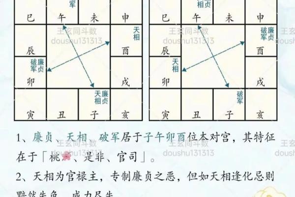 紫薇斗数 怎么避开死劫