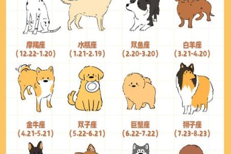 12星座应该养哪种狗狗